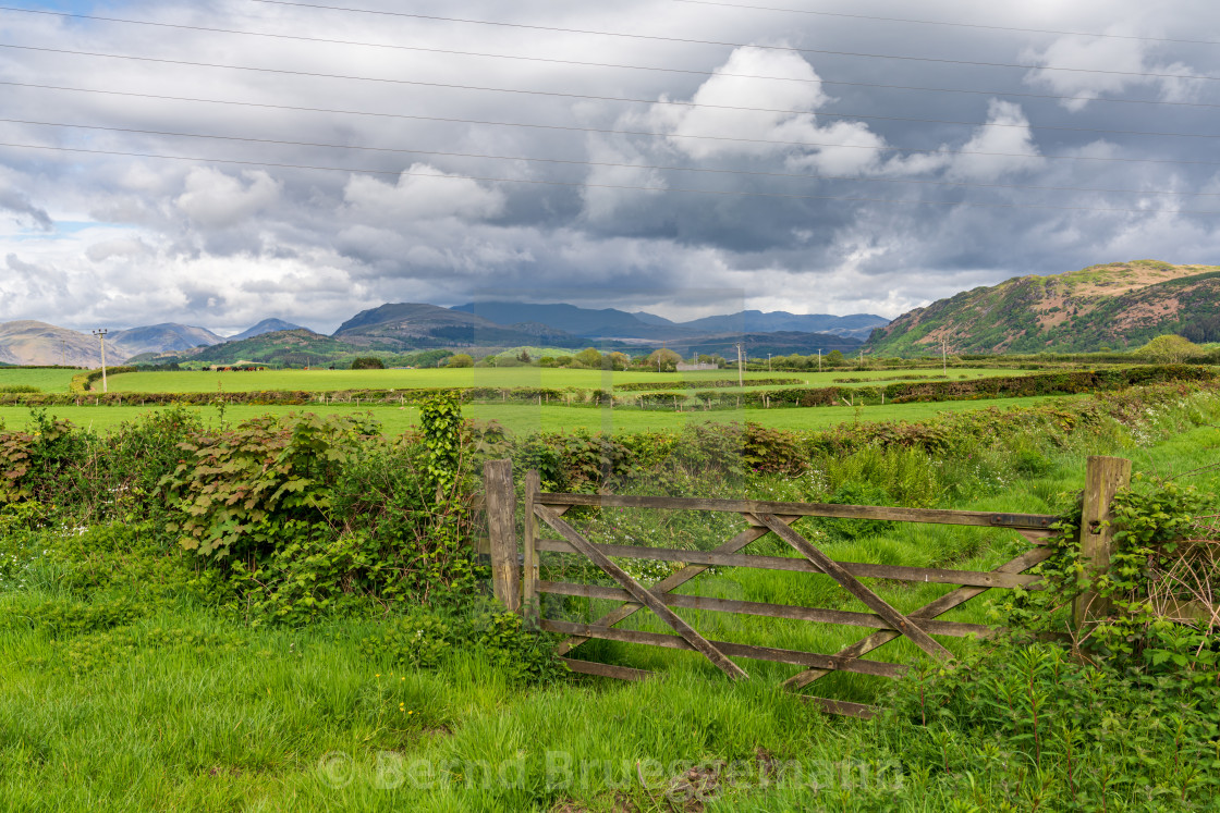 "A wooden gate, seen near Gubbergill, Cumbria, England, UK" stock image