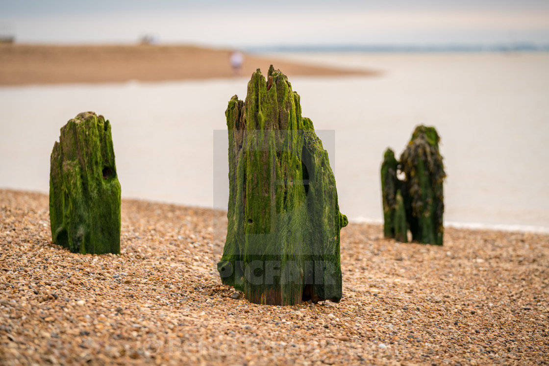 "Wooden Stakes on a pebble beach" stock image