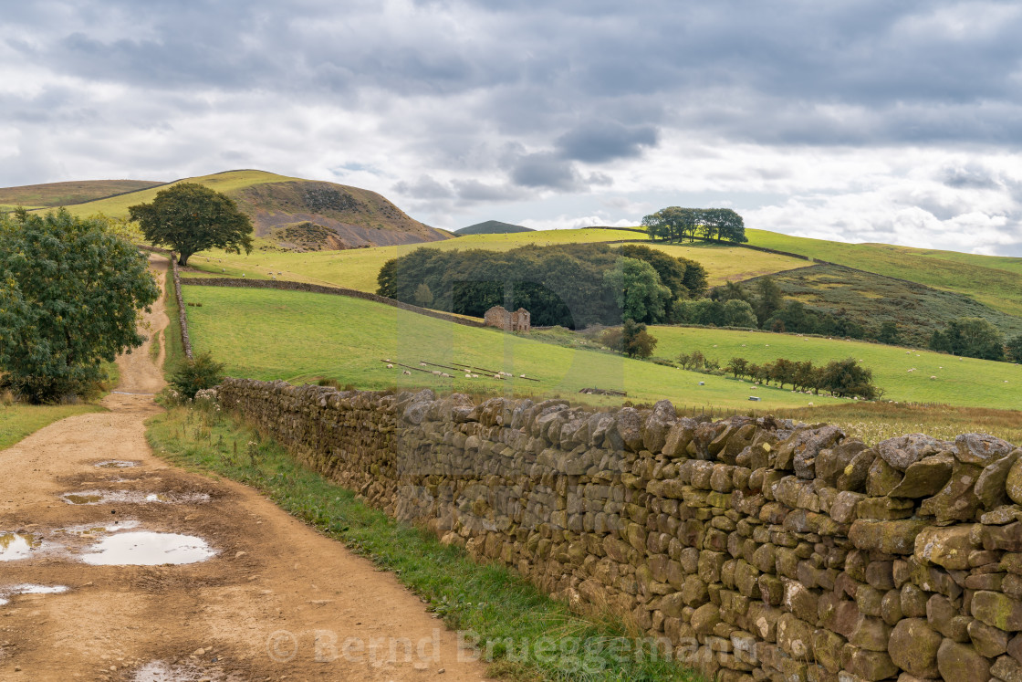 "North Pennines landscape near Dufton" stock image