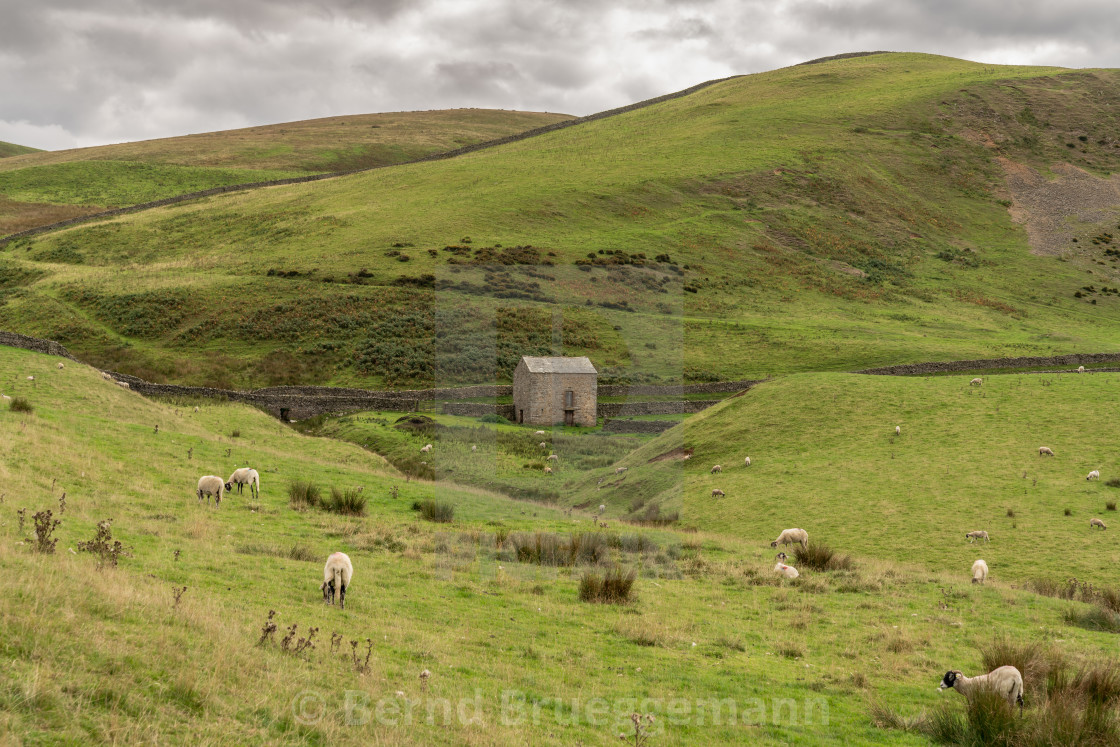 "North Pennines landscape near Dufton" stock image