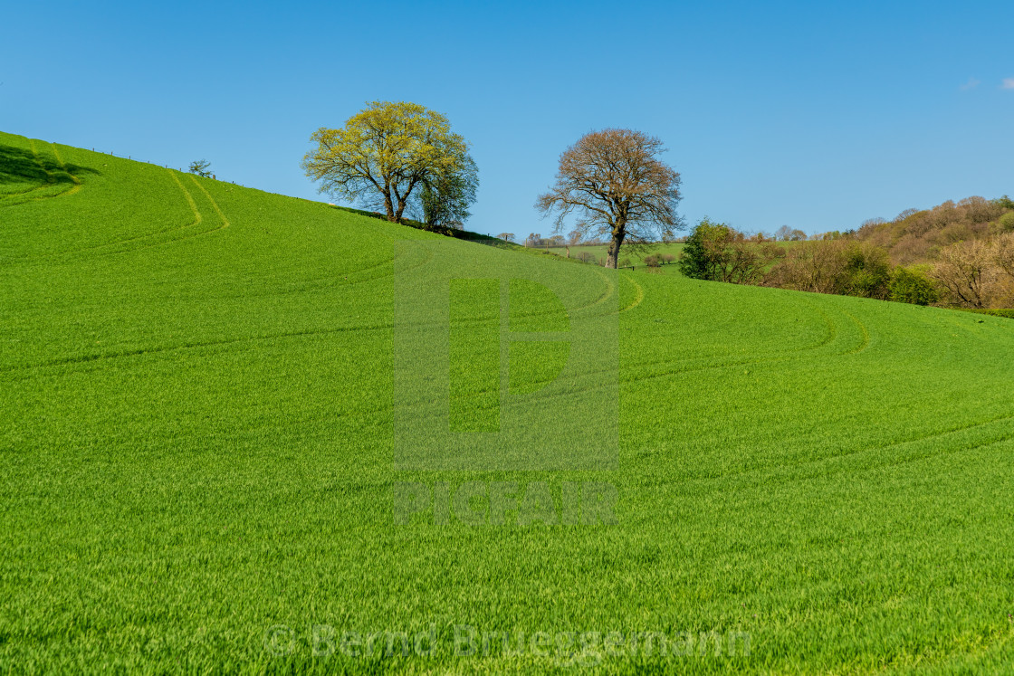 "Shropshire landscape, England, UK" stock image