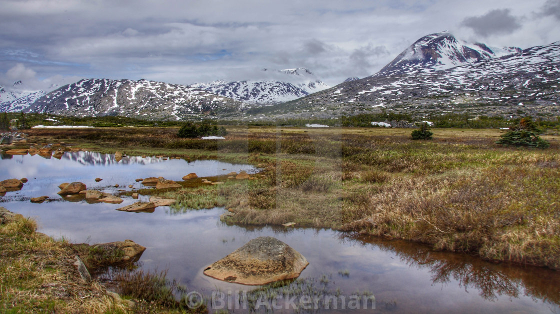 "White Pass Summit Alaska" stock image