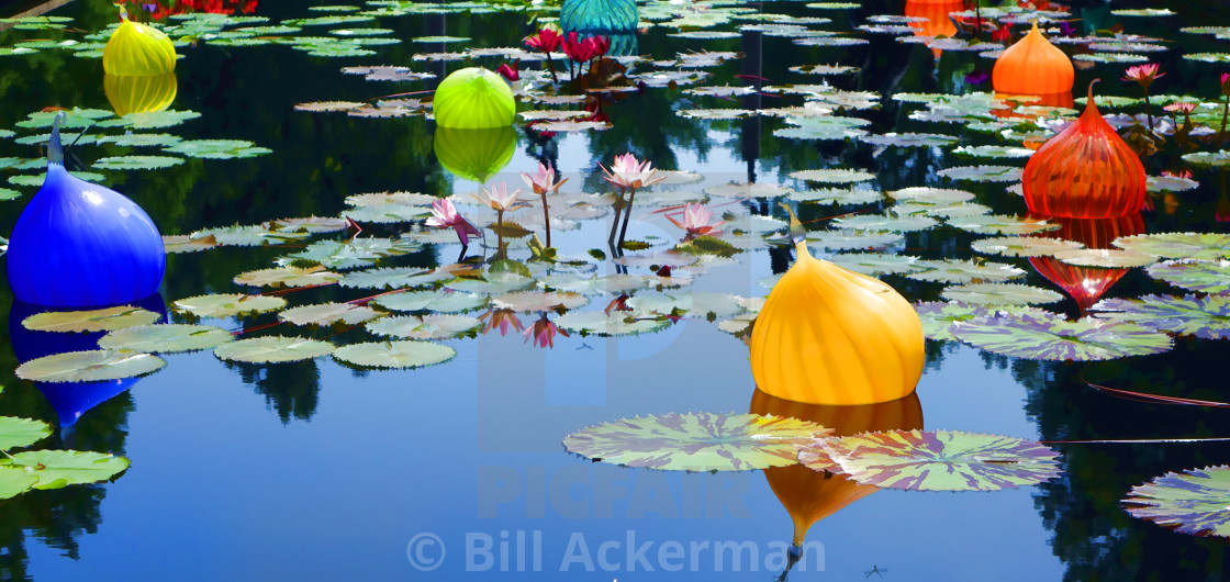 "Reflections, Missouri Botanical Gardens" stock image