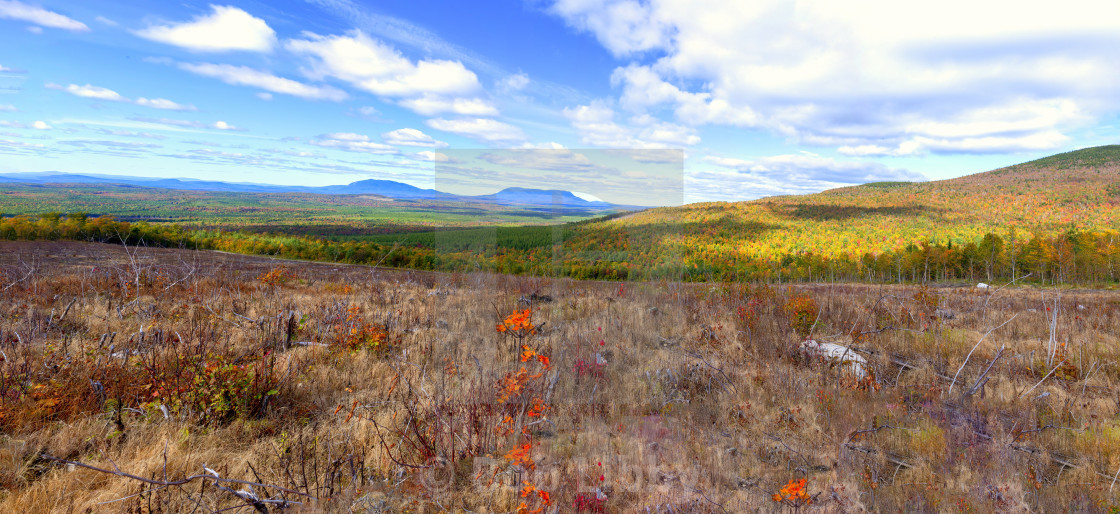 "Maine Autumn" stock image