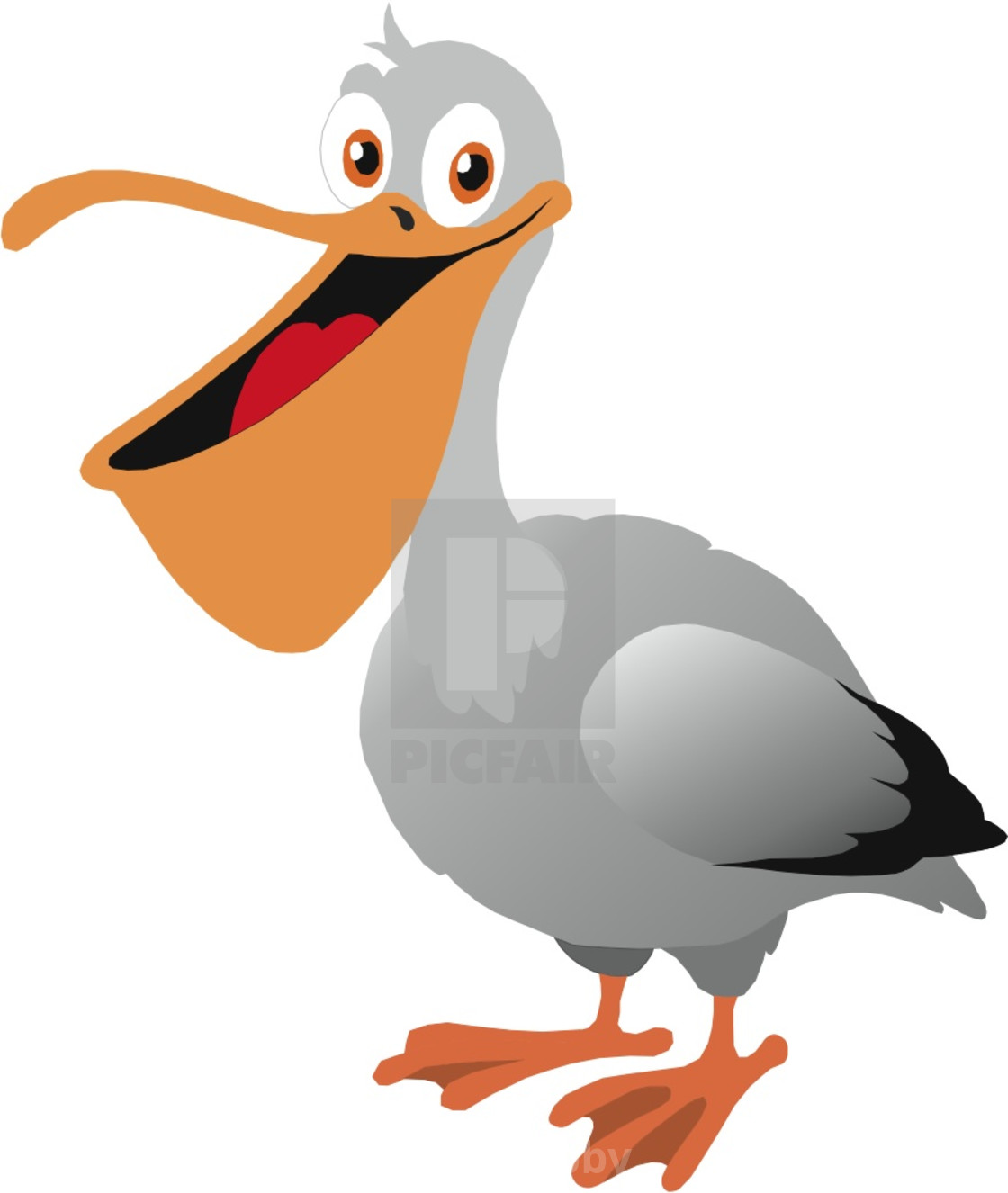 "Australian Pelican Koolamooloo" stock image