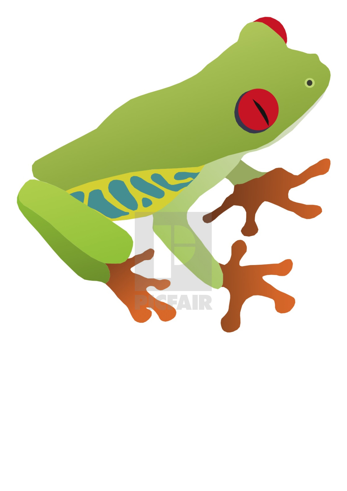 "Tree Frog Koolamooloo" stock image