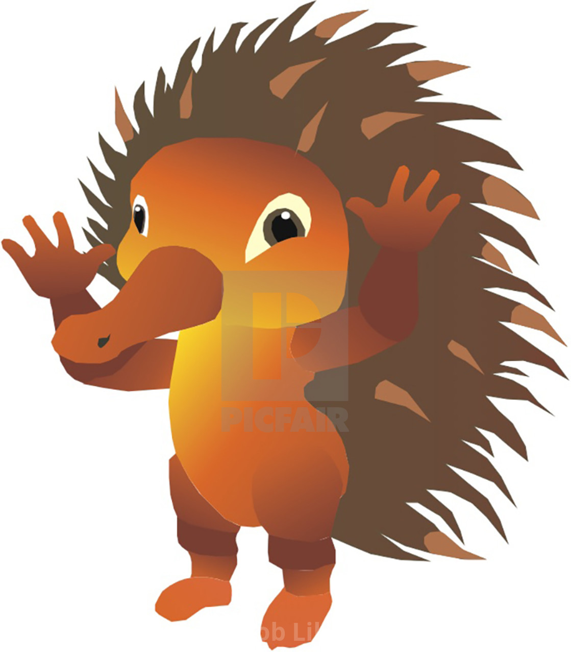 "Echidna Koolamooloo" stock image