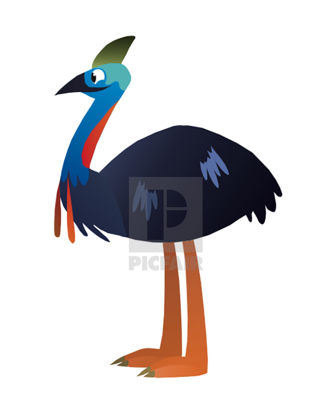 "Cassowary Koolamooloo" stock image