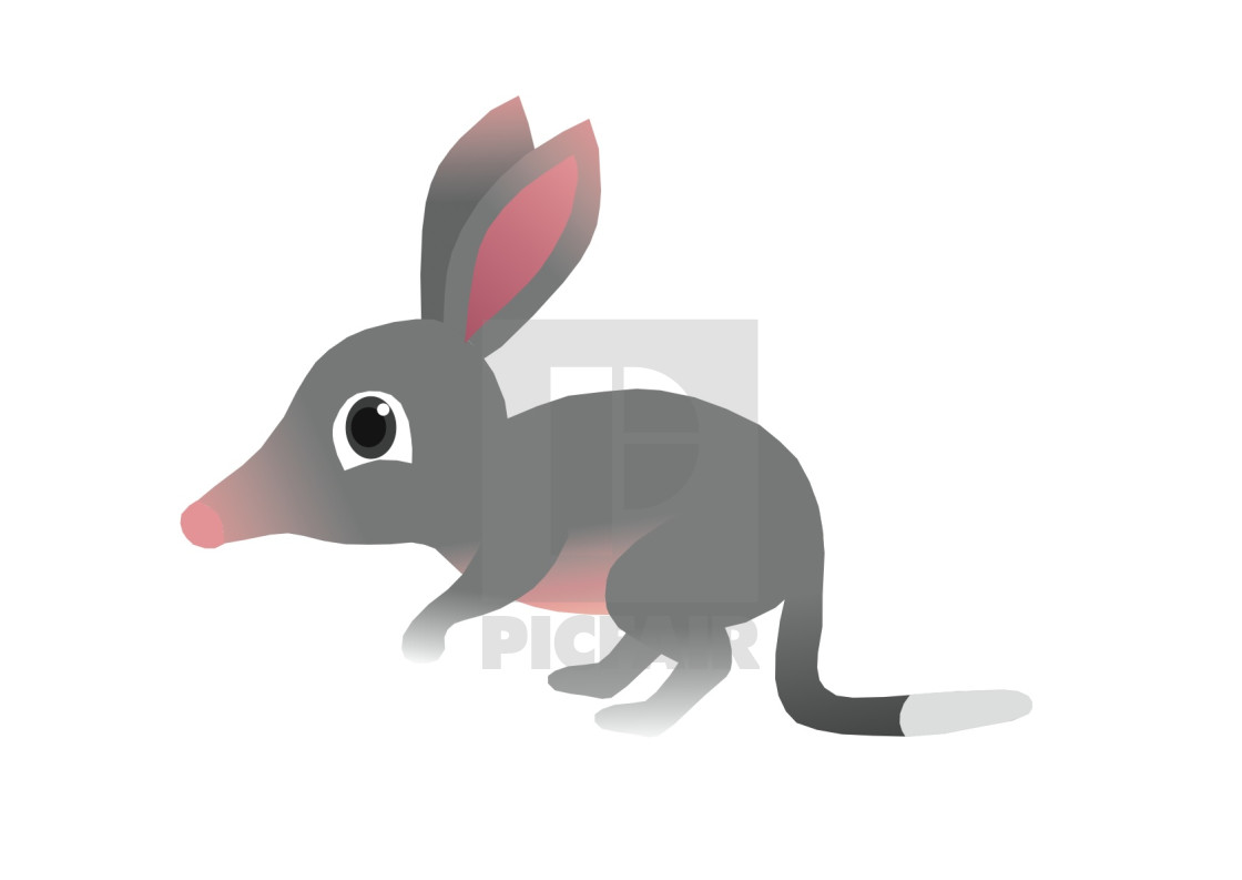 "Bilby Koolamooloo" stock image