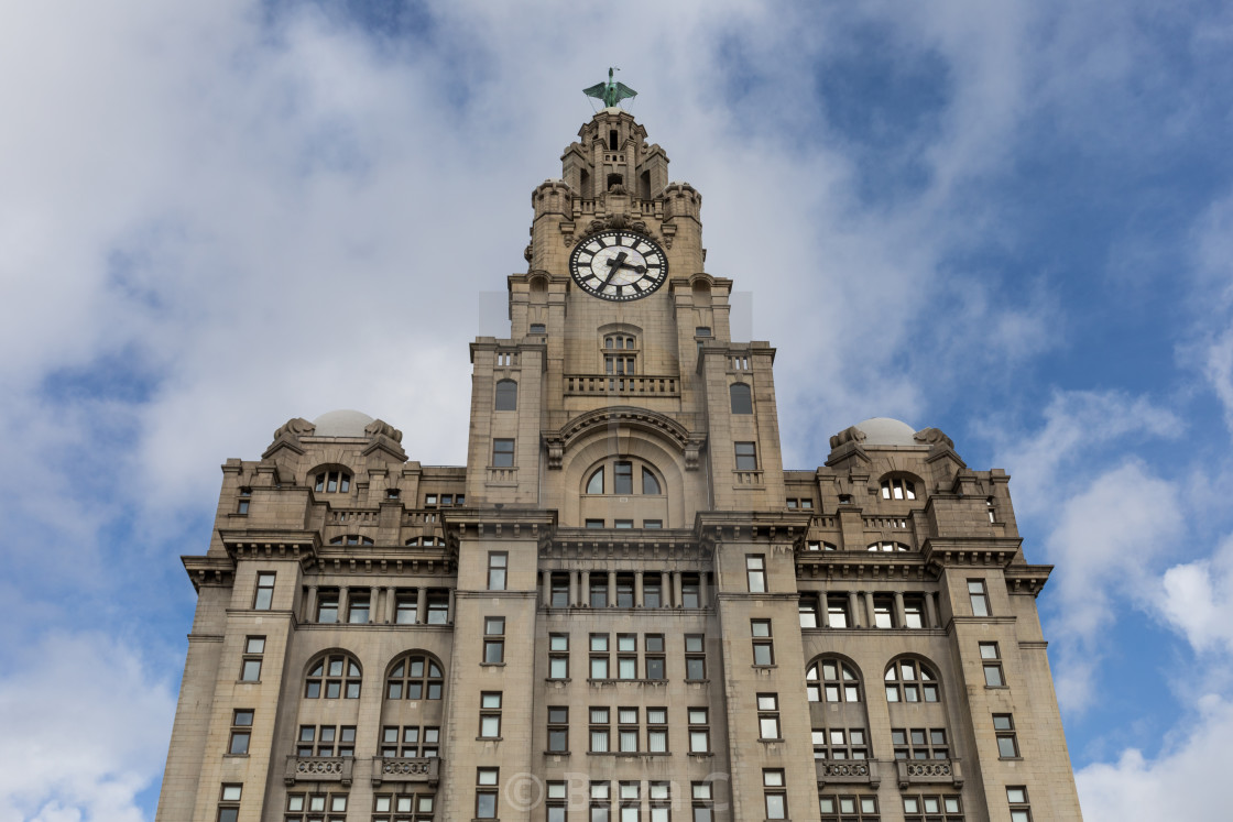 "Royal Liver Building" by Boza C - $15.44 "Royal Liver Building" stock image