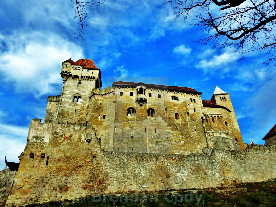 Liechtenstein Castle License Download Or Print For 14 88 Photos Picfair
