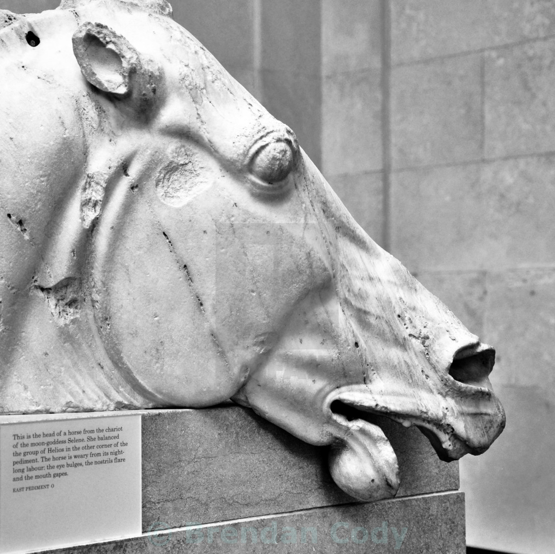 "Elgin Marbles (Parthenon Marbles)" stock image