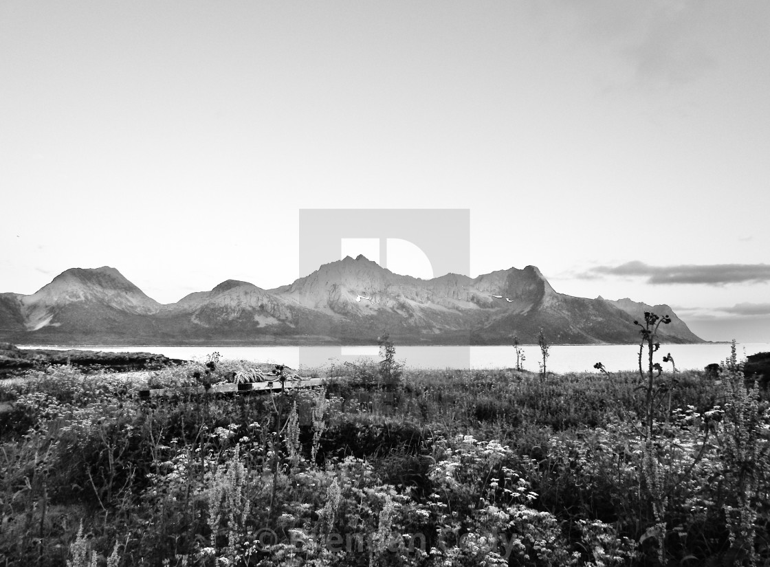 "Arctic Fjords" stock image