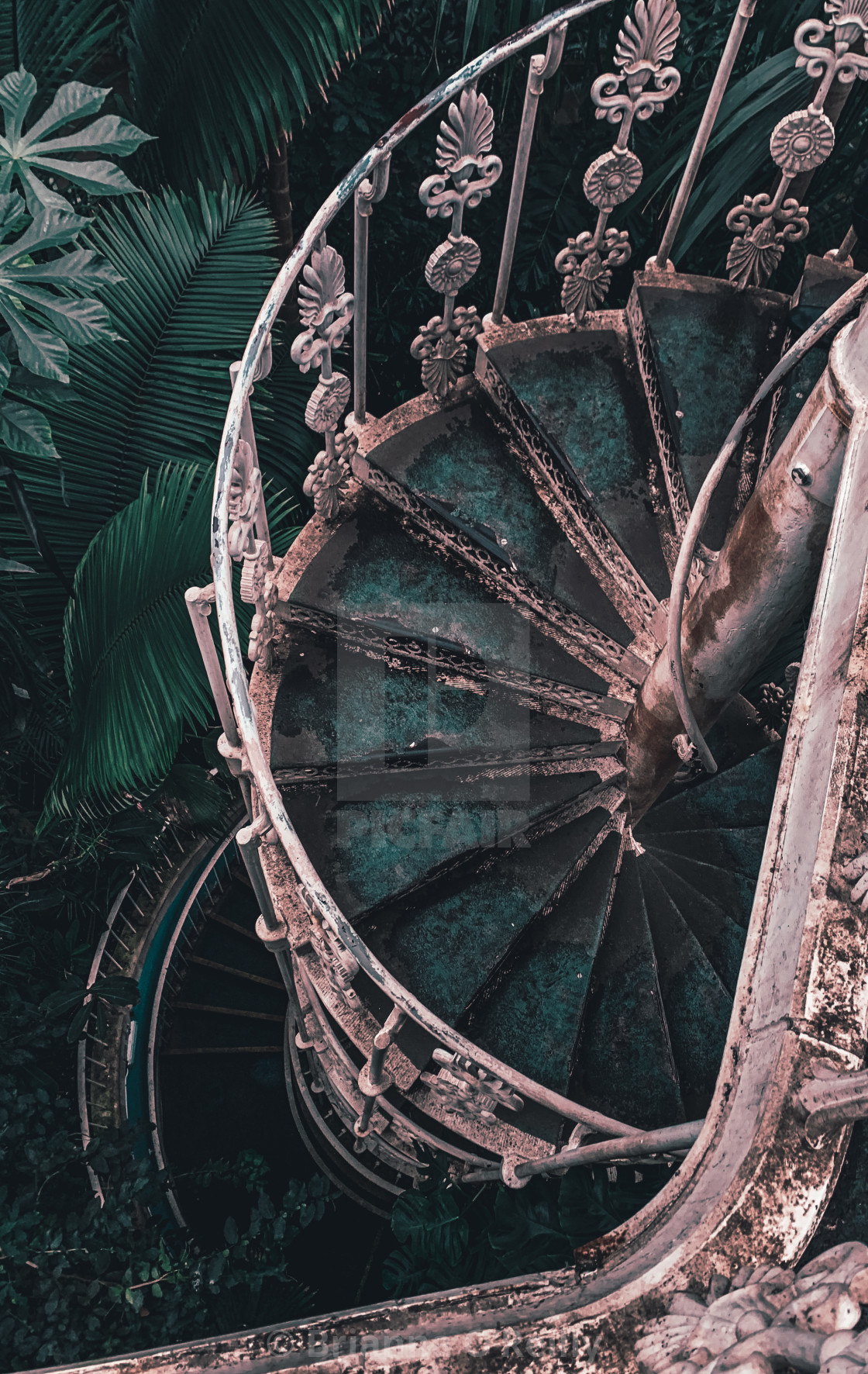 "The Spiral Staircase" stock image