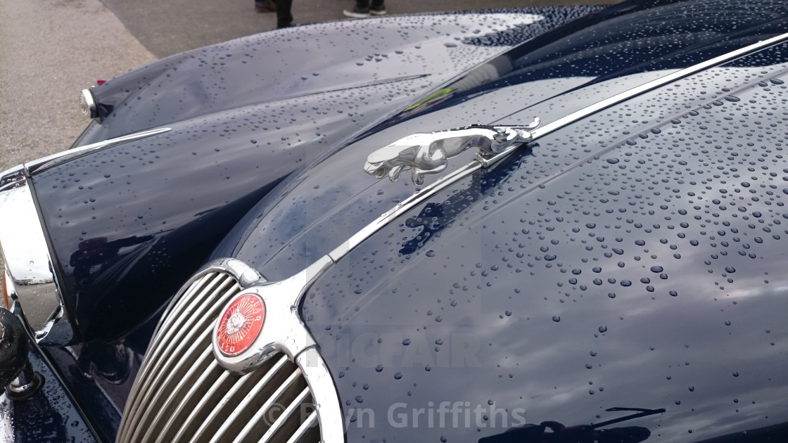 Beautiful Classic Jaguar Sports Car License Download Or Print For 4 00 Photos Picfair