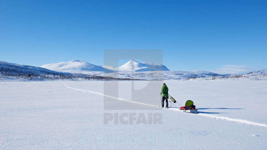 "Skiing in Saltfjellet" stock image