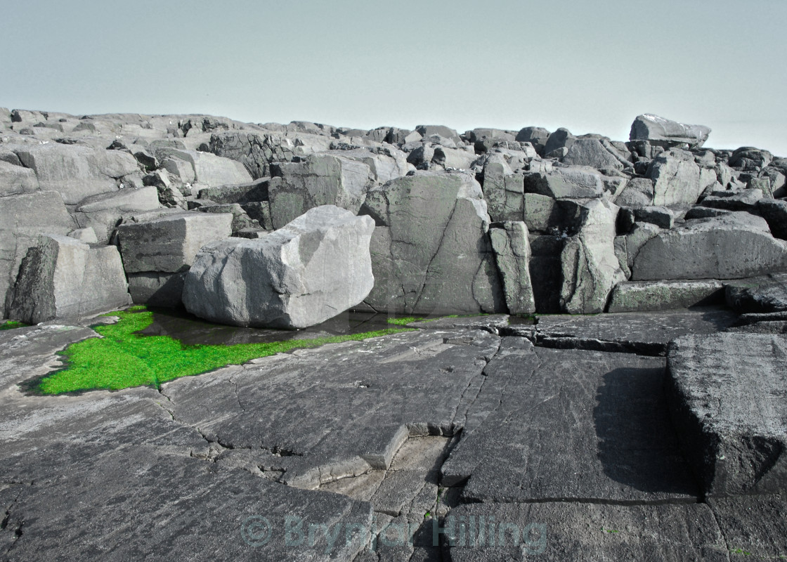 "Rocks with green algae." stock image