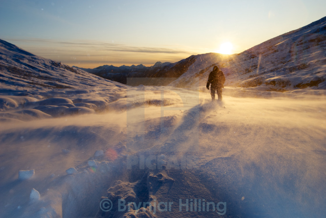 "hunting for elk" stock image