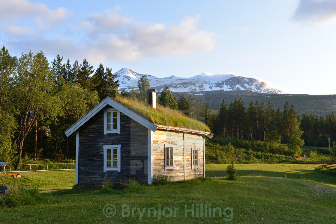 "old timber house in forest" stock image