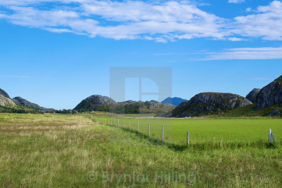 "green field with fence" stock image