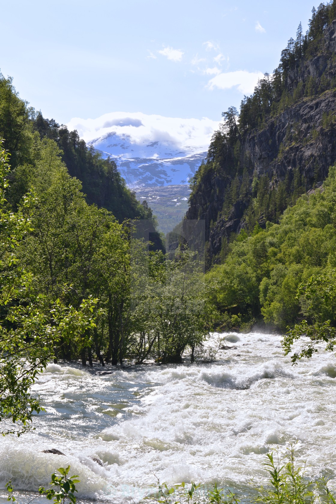 "wild river in Norway" stock image