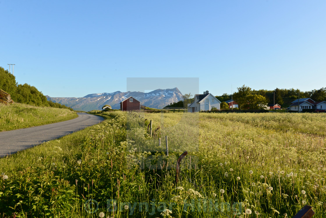 "Houses in a field with mountain behind" stock image