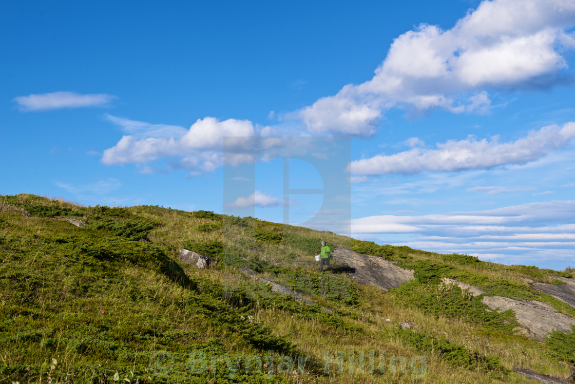 "Harvest on islands" stock image