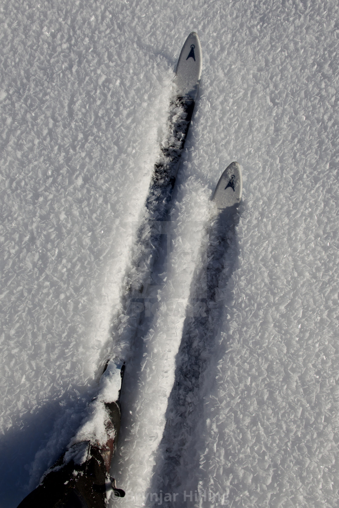 "Ski in snow" stock image