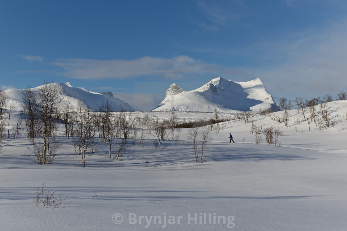 "Cross country skiing in Norway" stock image