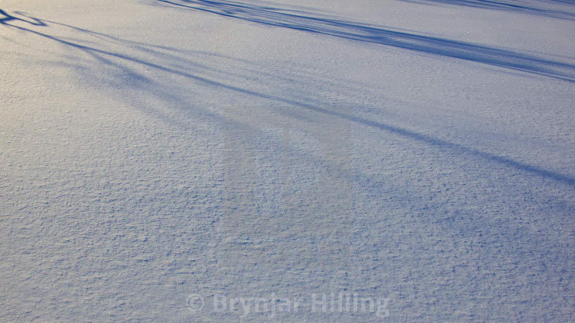 "Snow in evening light" stock image