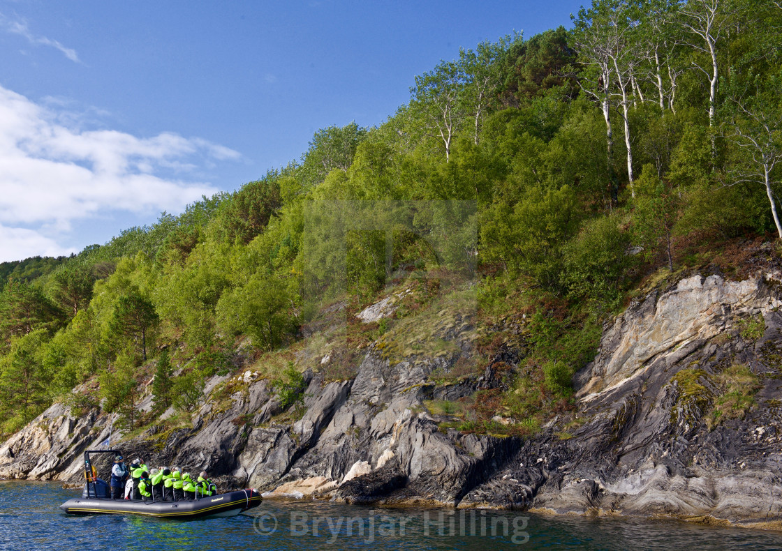 "Rib boat with tourists seeing sea eagle" stock image