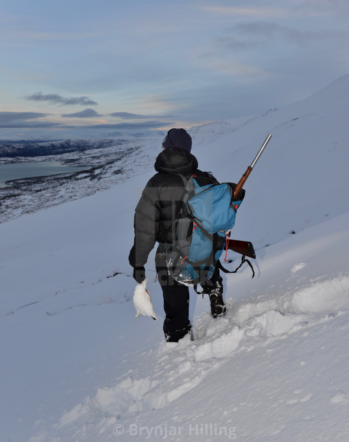 "Grouse hunter in the mountains" stock image