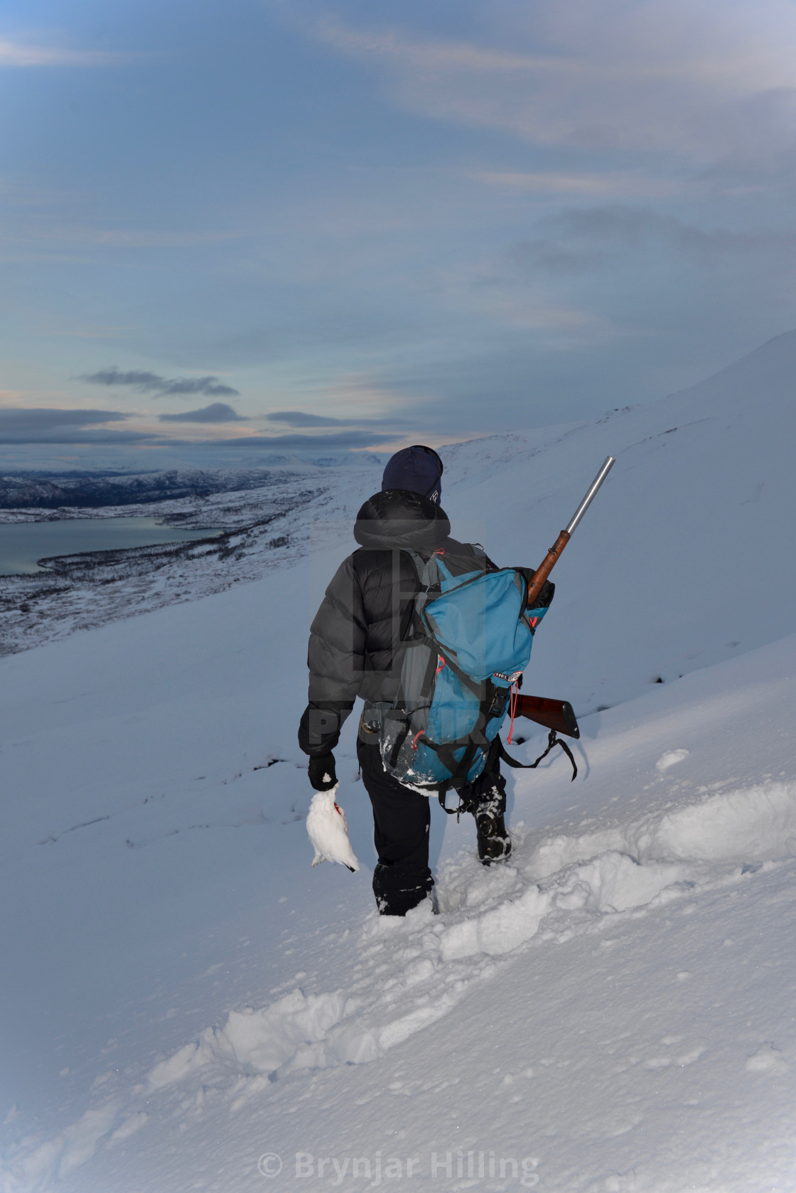 "Grouse hunter in the winter-mountains" stock image