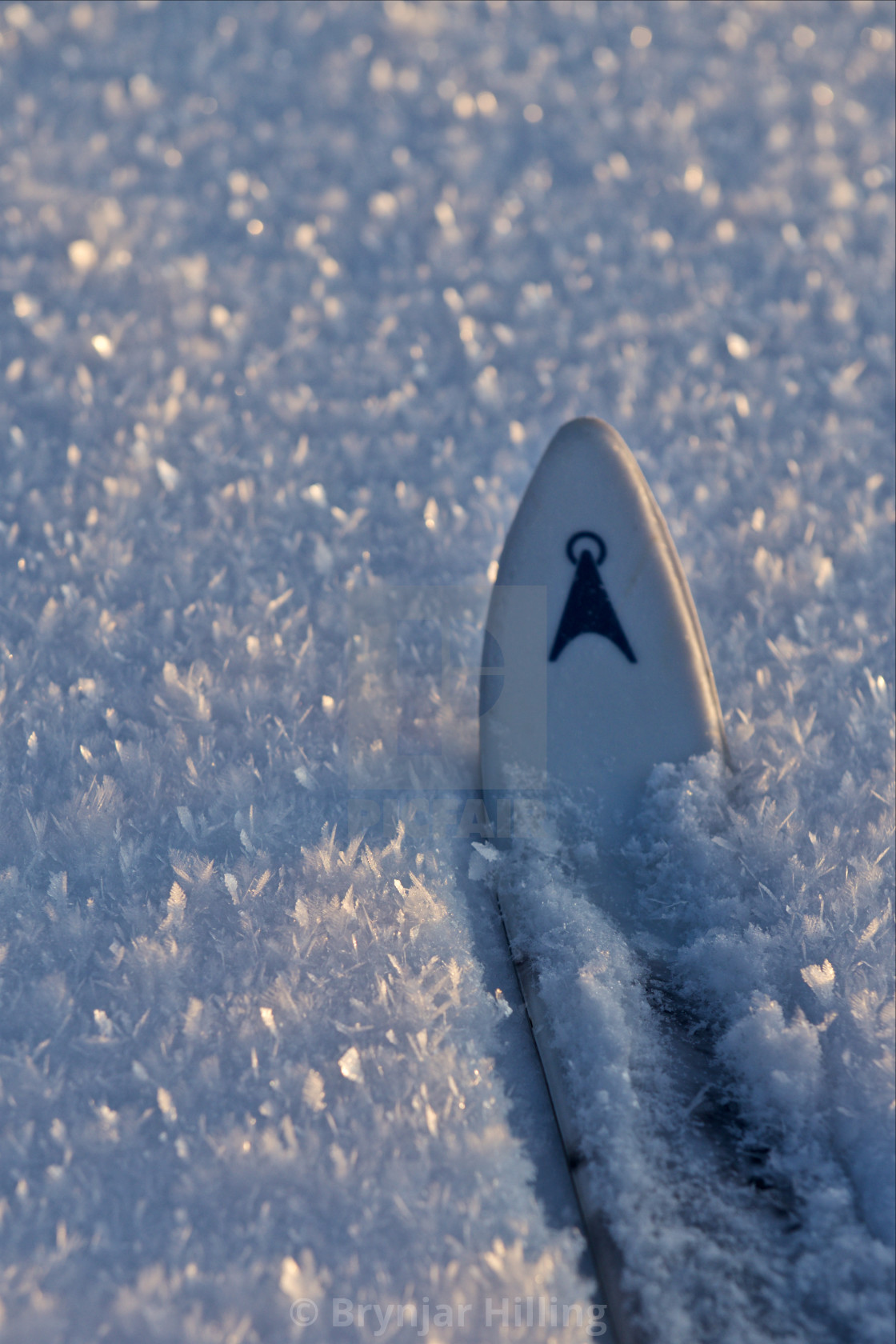 "tip of a ski in the sow" stock image