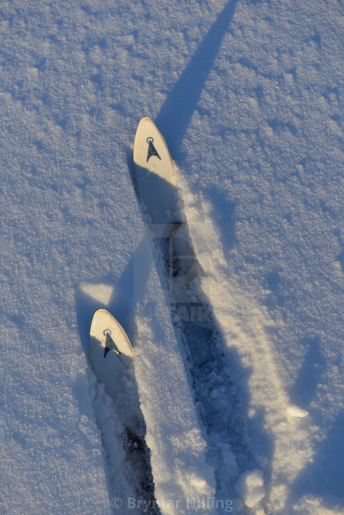 "Skies seen in the snow" stock image