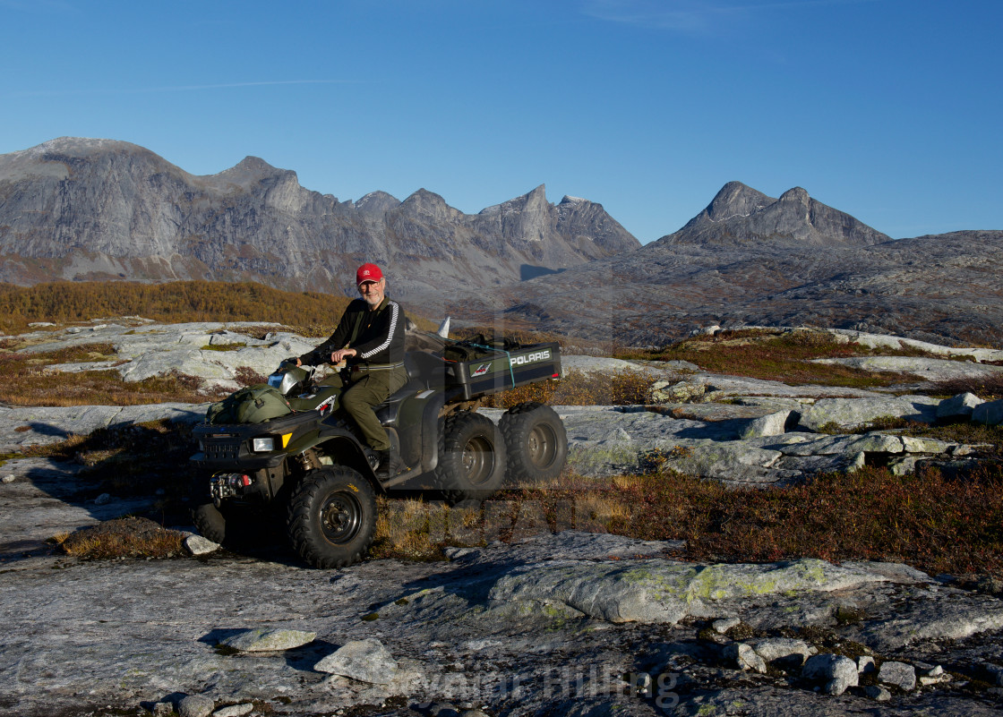 "ATV bringing moose home after hunt" stock image