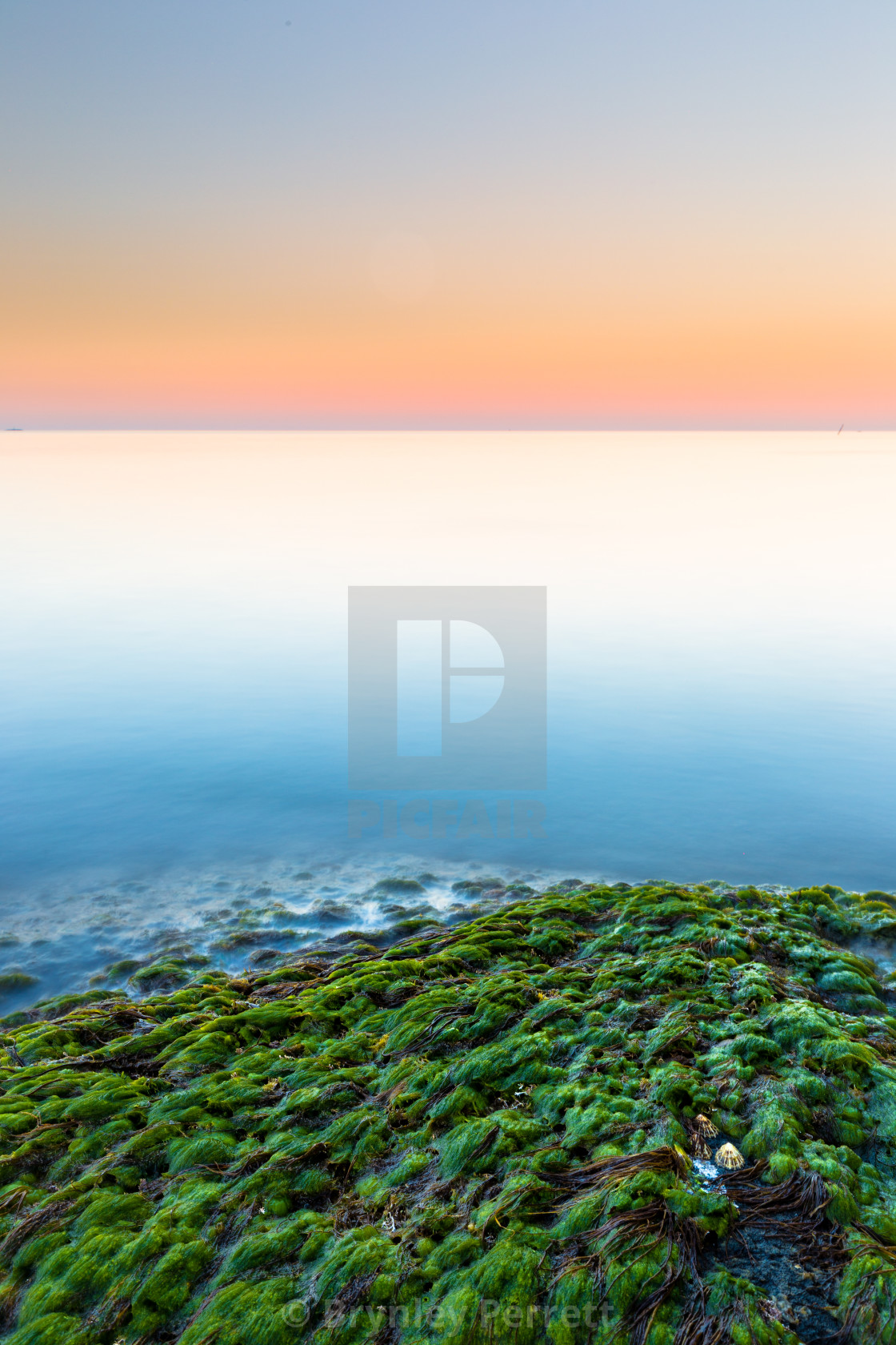 "Green Shores" stock image