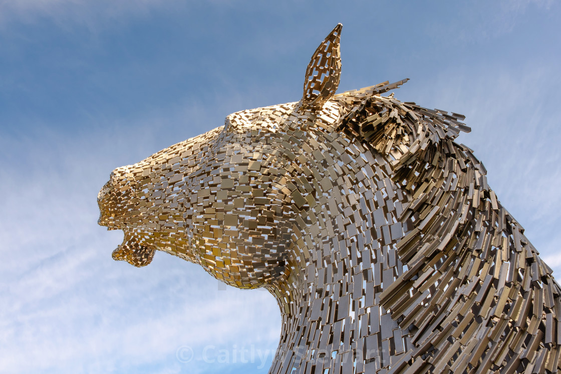 "Mini Kelpie, Scotland" by Caitlyn Stewart - $15.42 "Mini Kelpie, Scotland" stock image