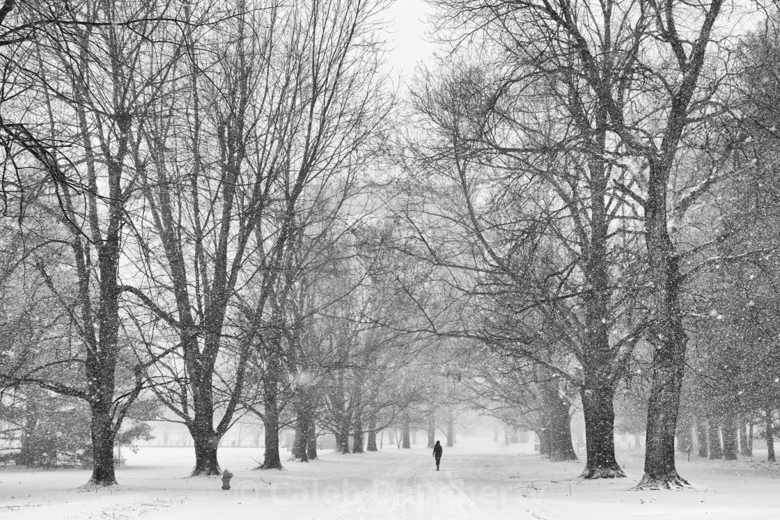 Walking In A Winter Wonderland License Download Or Print For 30 50 Photos Picfair