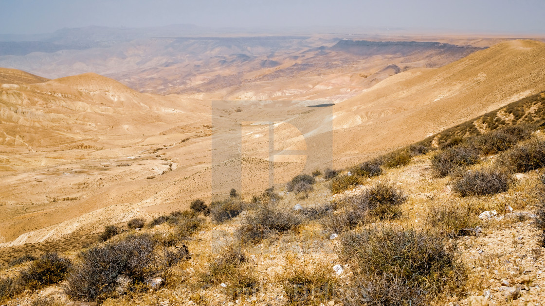 Arid Climate Landscape With Thorny Bushes During A Sunny Day In King S Road License Download Or Print For 21 95 Photos Picfair