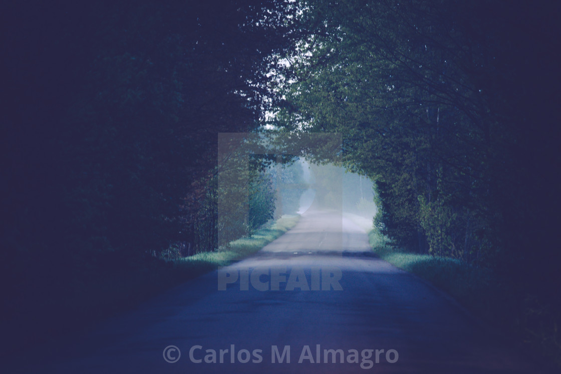 "Green tunnel" by Carlos M. Almagro - £3.72 "Green tunnel" stock image