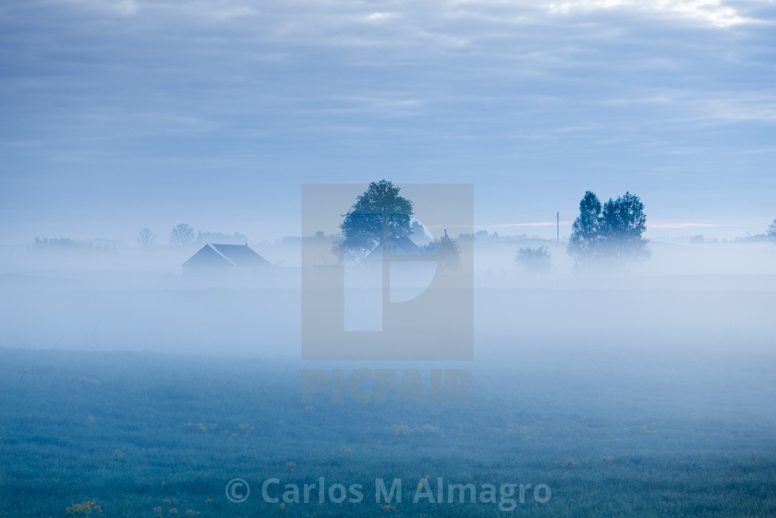 "Foggy morning" stock image