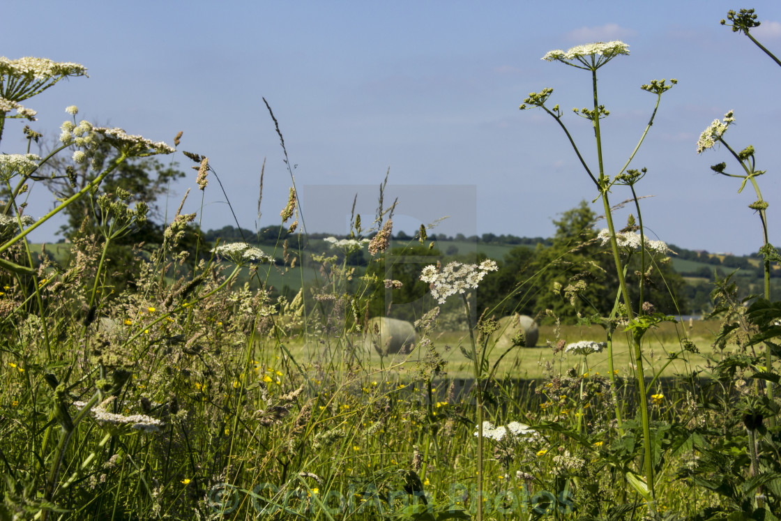 "Across the English countryside" stock image