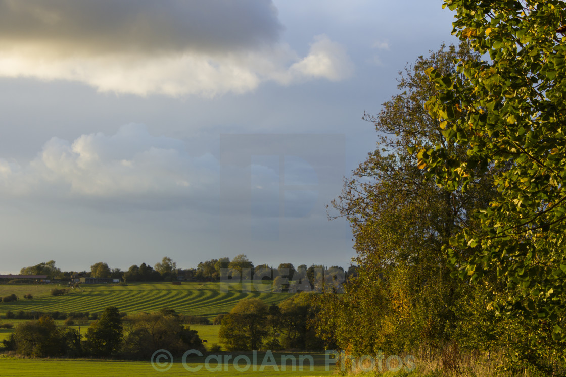 "Across the fields" stock image