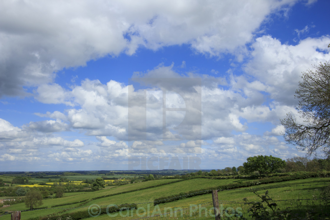 "Under a cloudy sky" stock image