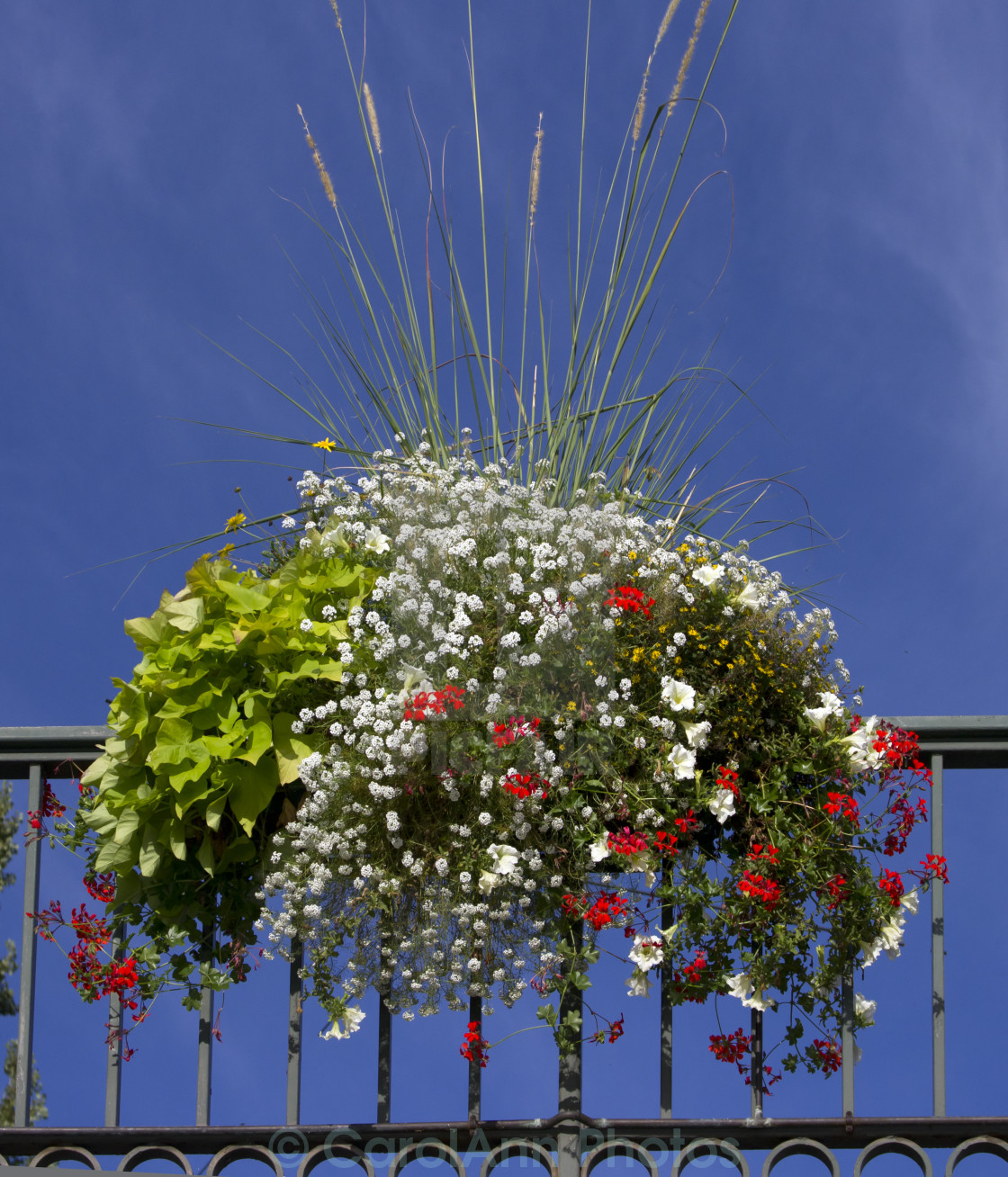 "Flowers on a bridge - taken from the boat on a ride on the canal in Strasbourg" stock image