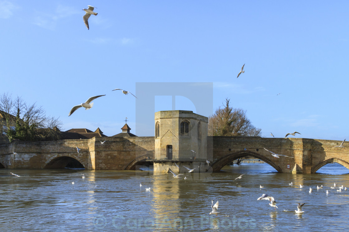 "The old bridge at St Ives" stock image