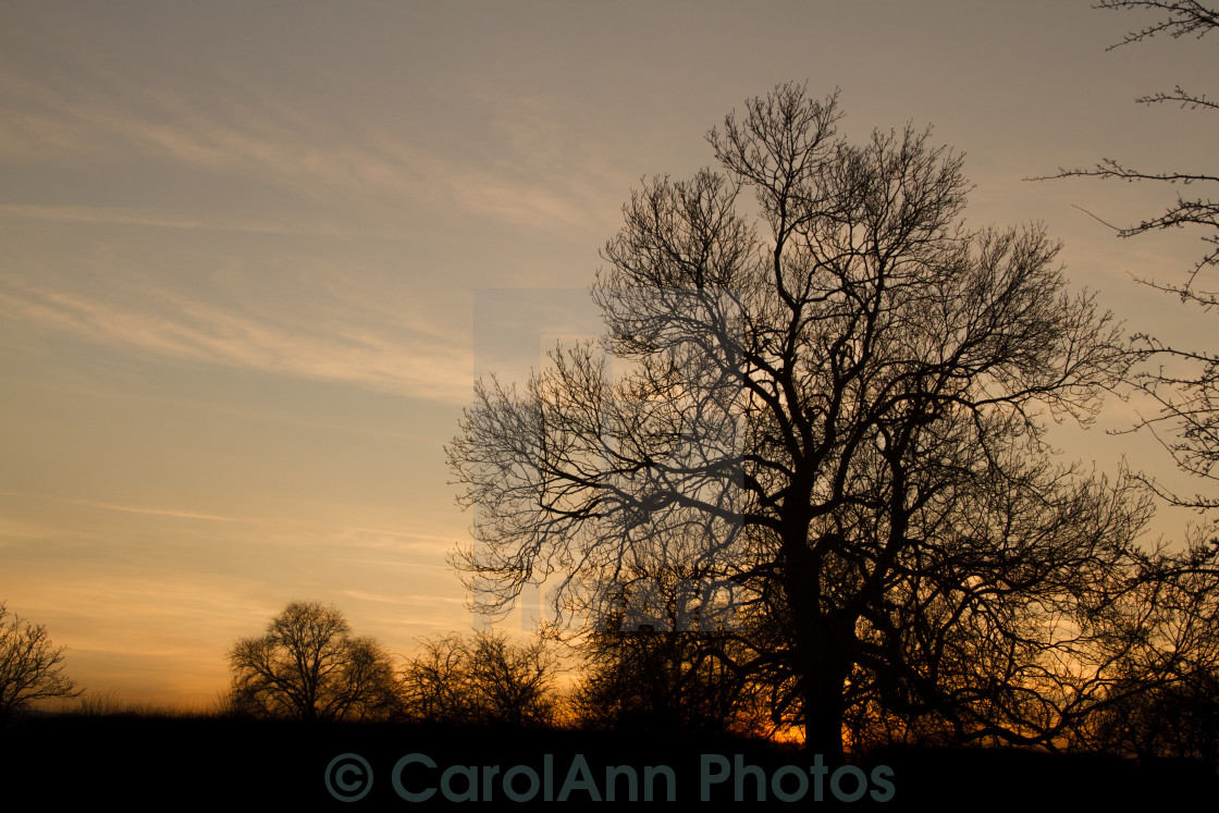 "Winter sunset" stock image