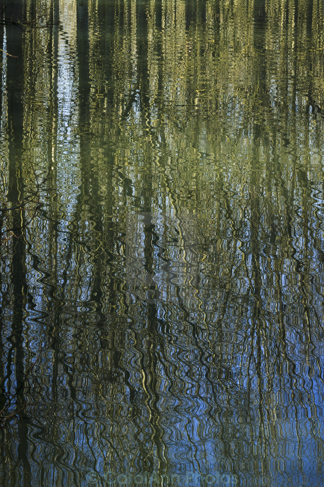 "Reflections" stock image