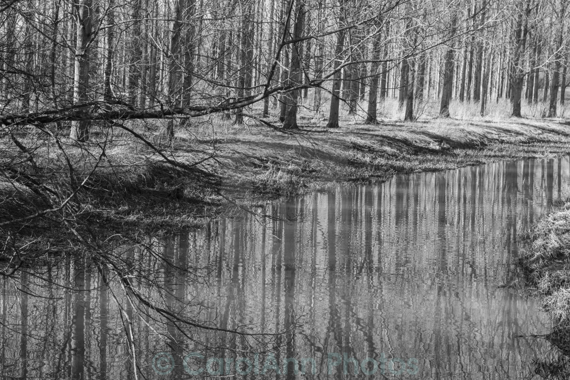 "Mill Stream reflections" stock image